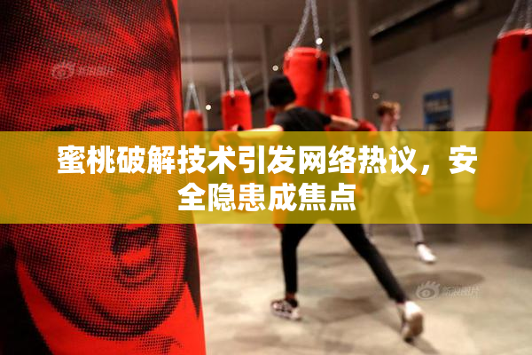 蜜桃破解技术引发网络热议，安全隐患成焦点