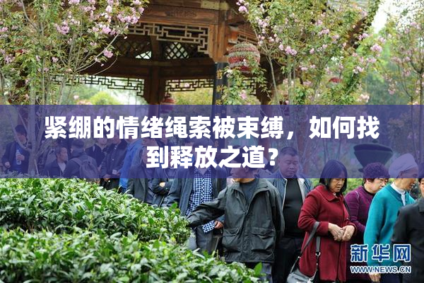 紧绷的情绪绳索被束缚，如何找到释放之道？