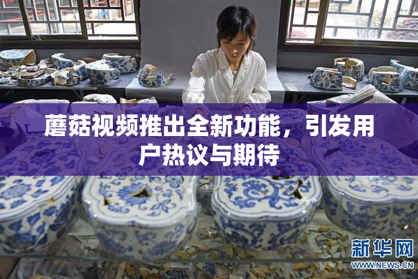 蘑菇视频推出全新功能，引发用户热议与期待