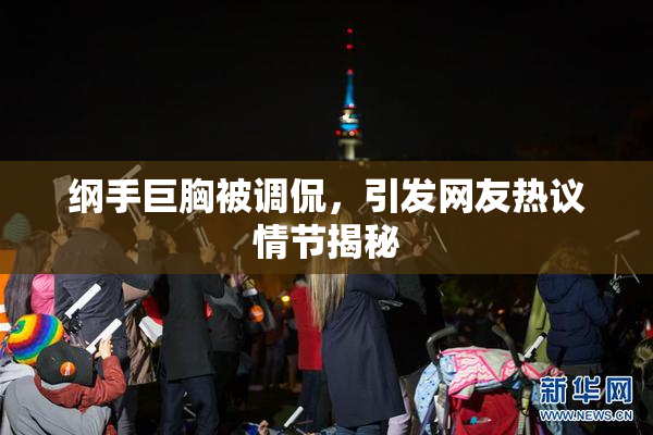 纲手巨胸被调侃，引发网友热议情节揭秘