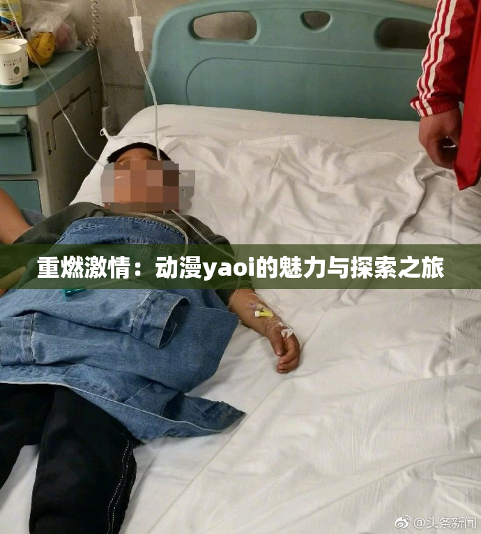 重燃激情：动漫yaoi的魅力与探索之旅
