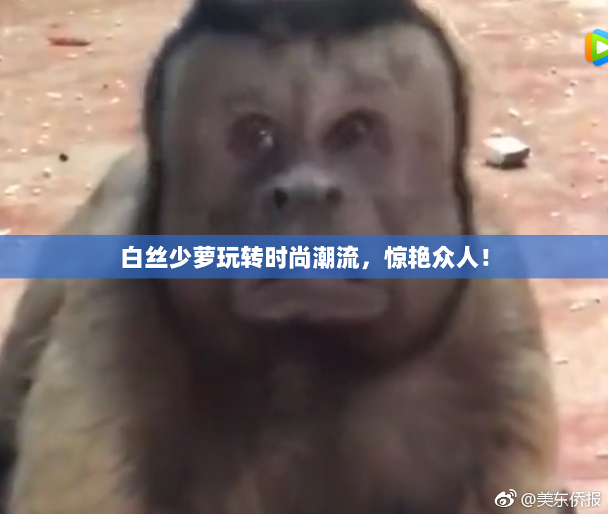 白丝少萝玩转时尚潮流，惊艳众人！