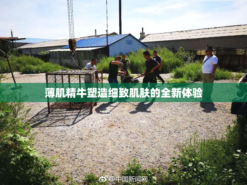 薄肌精牛塑造细致肌肤的全新体验