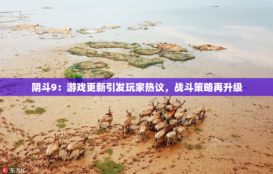 阴斗9：游戏更新引发玩家热议，战斗策略再升级