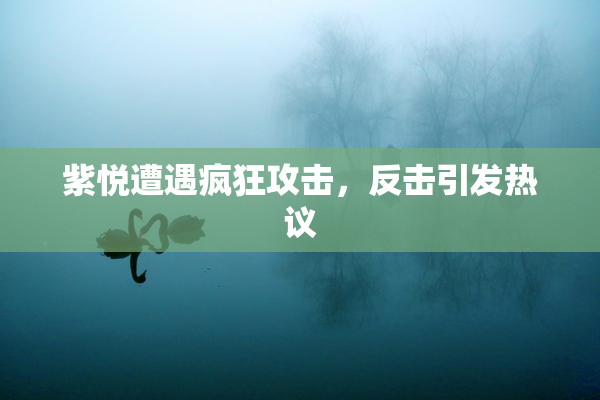 紫悦遭遇疯狂攻击，反击引发热议