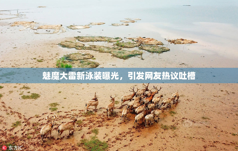 魅魔大雷新泳装曝光，引发网友热议吐槽