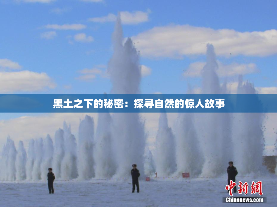 黑土之下的秘密：探寻自然的惊人故事