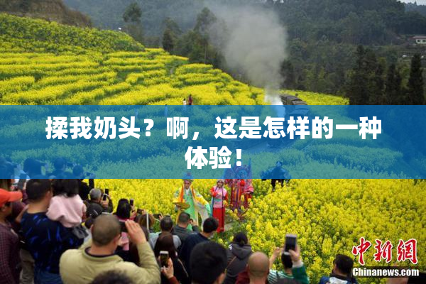 揉我奶头？啊，这是怎样的一种体验！