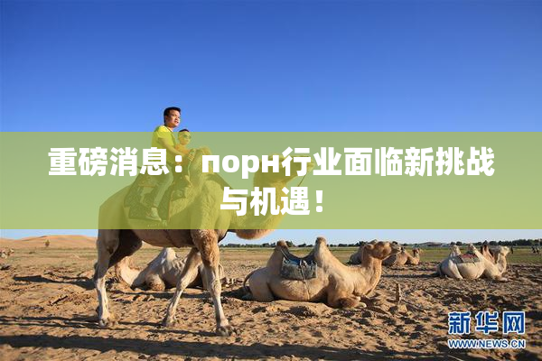 重磅消息：порн行业面临新挑战与机遇！