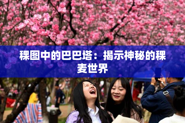 稞图中的巴巴塔：揭示神秘的稞麦世界