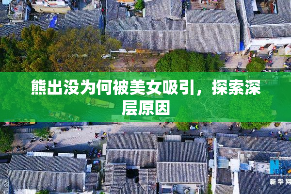 熊出没为何被美女吸引，探索深层原因