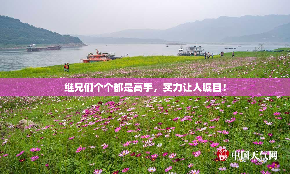 继兄们个个都是高手，实力让人瞩目！