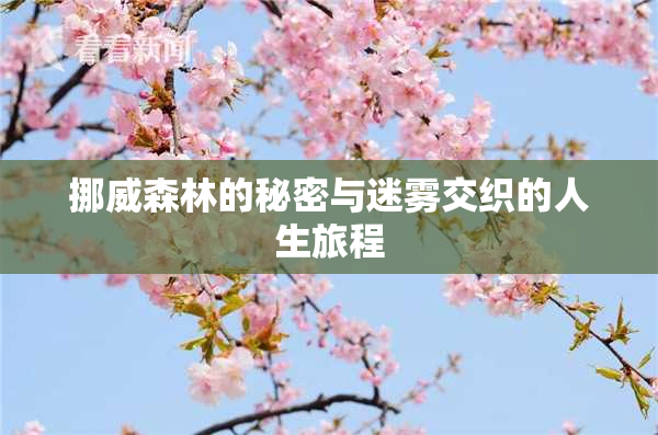 挪威森林的秘密与迷雾交织的人生旅程