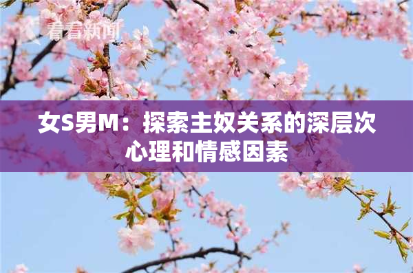 女S男M：探索主奴关系的深层次心理和情感因素