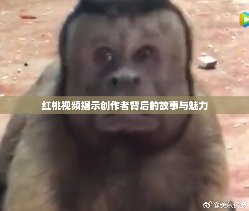 红桃视频揭示创作者背后的故事与魅力