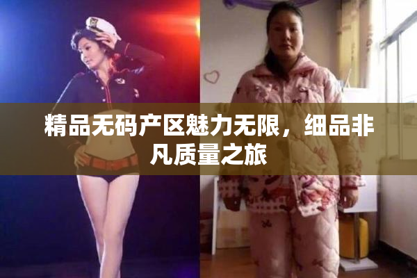 精品无码产区魅力无限，细品非凡质量之旅