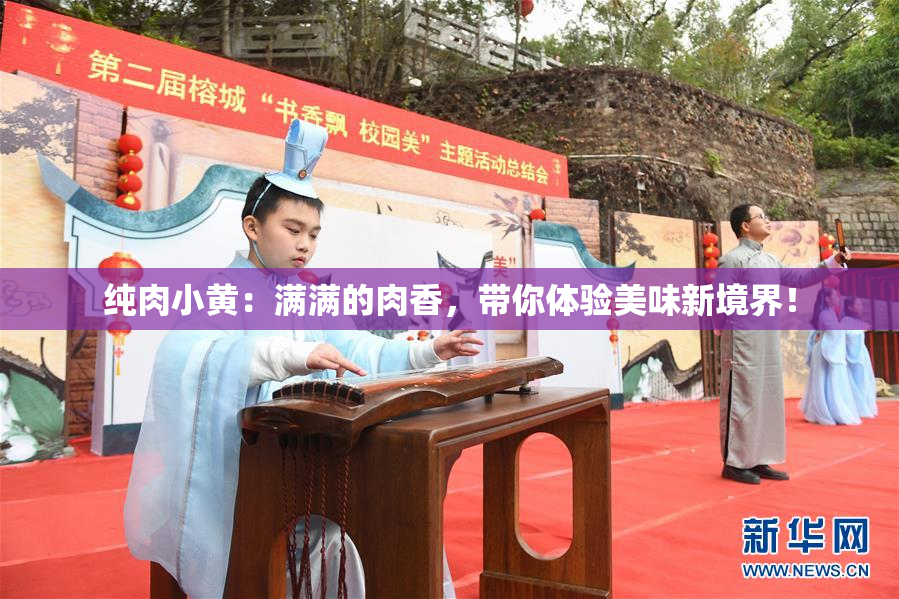 纯肉小黄：满满的肉香，带你体验美味新境界！