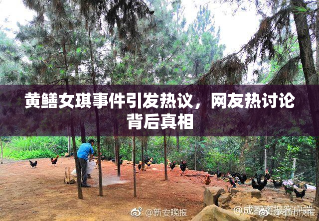 黄鳝女琪事件引发热议，网友热讨论背后真相