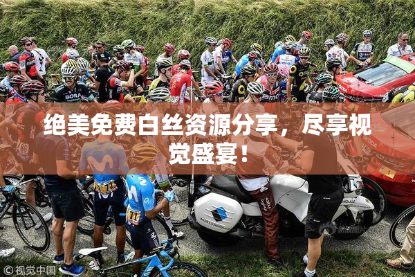 绝美免费白丝资源分享，尽享视觉盛宴！