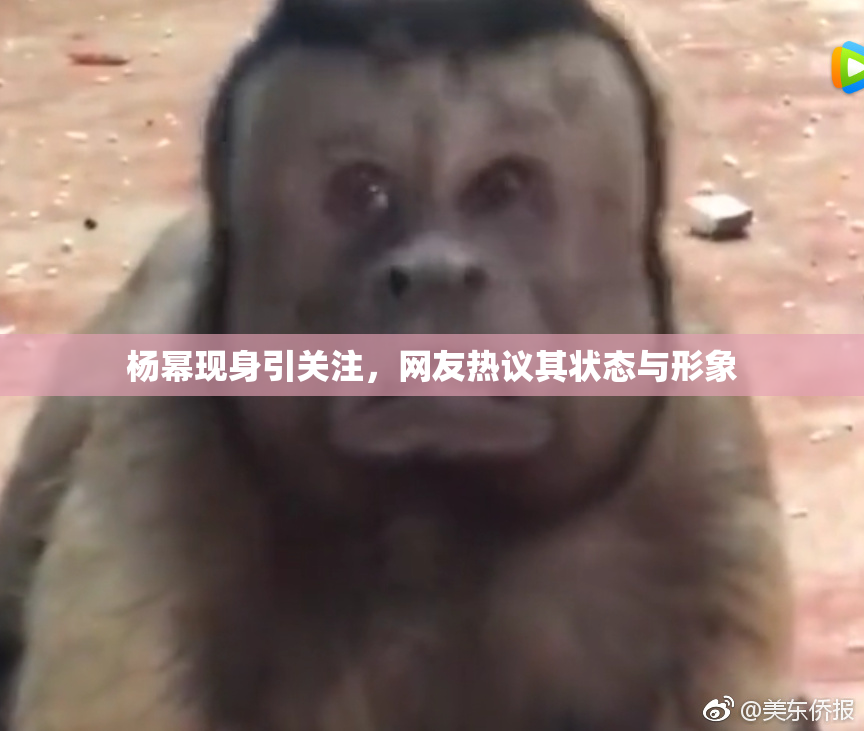 杨幂现身引关注，网友热议其状态与形象
