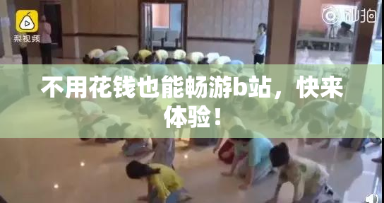 不用花钱也能畅游b站，快来体验！
