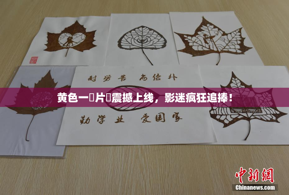 黄色一級片黃震撼上线，影迷疯狂追捧！