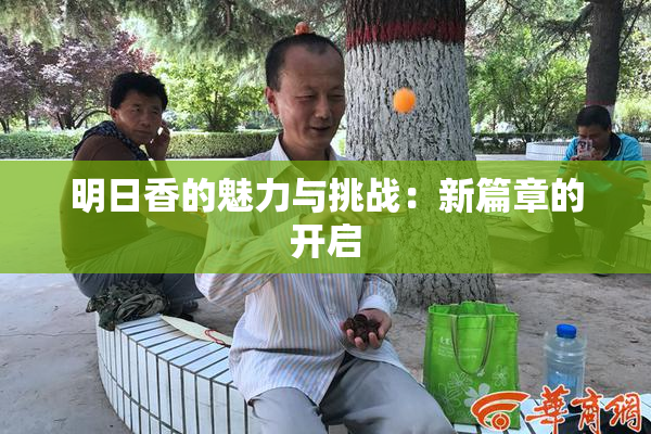 明日香的魅力与挑战：新篇章的开启