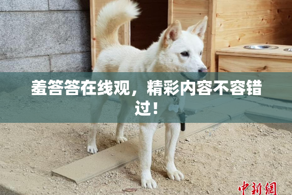 羞答答在线观，精彩内容不容错过！