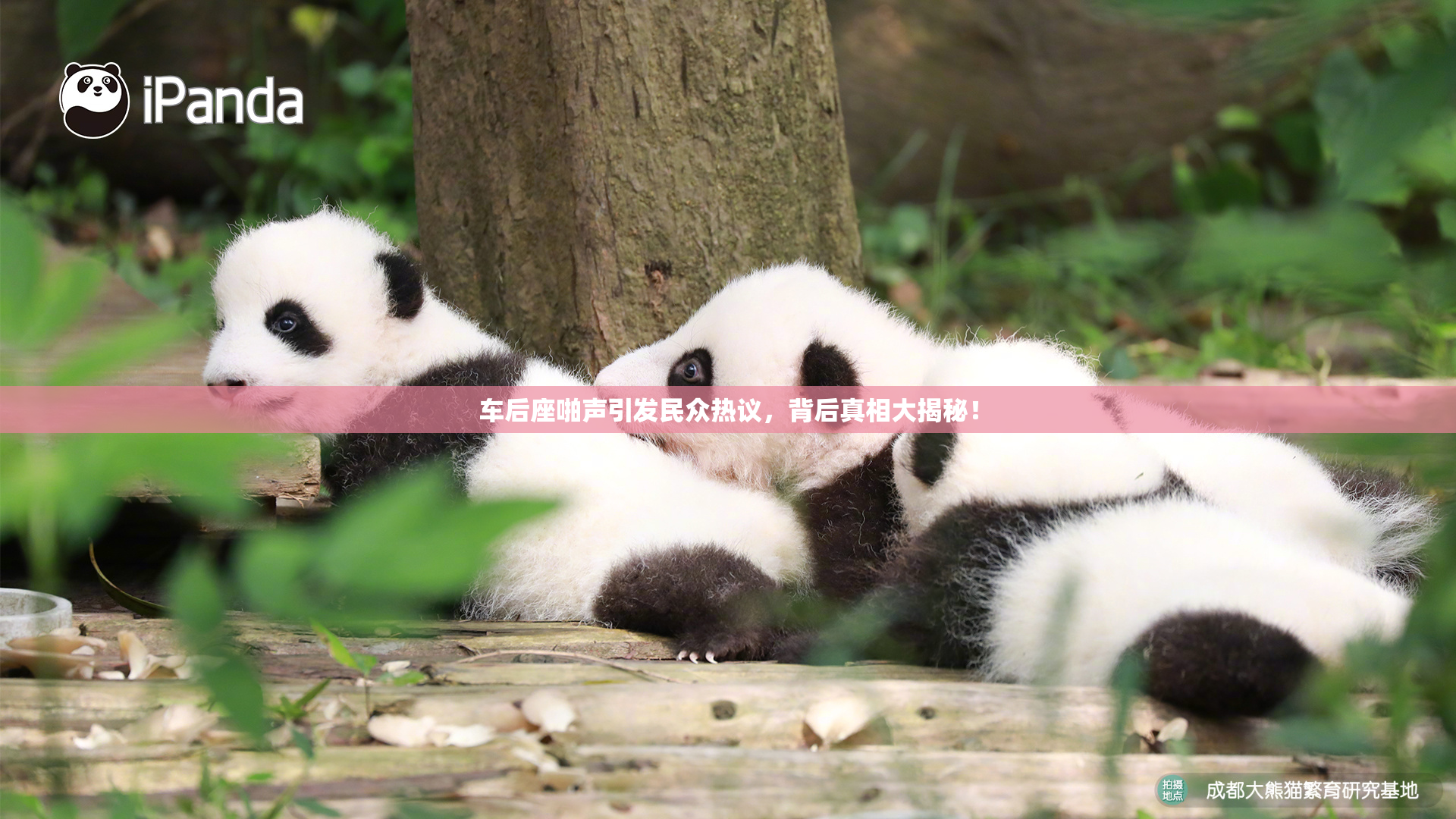 车后座啪声引发民众热议，背后真相大揭秘！