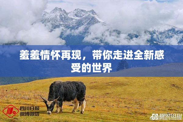 羞羞情怀再现，带你走进全新感受的世界