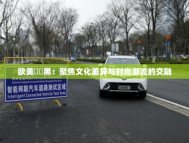 欧美❌‌黑：聚焦文化差异与时尚潮流的交融