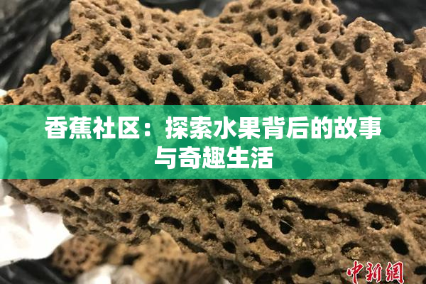 香蕉社区：探索水果背后的故事与奇趣生活