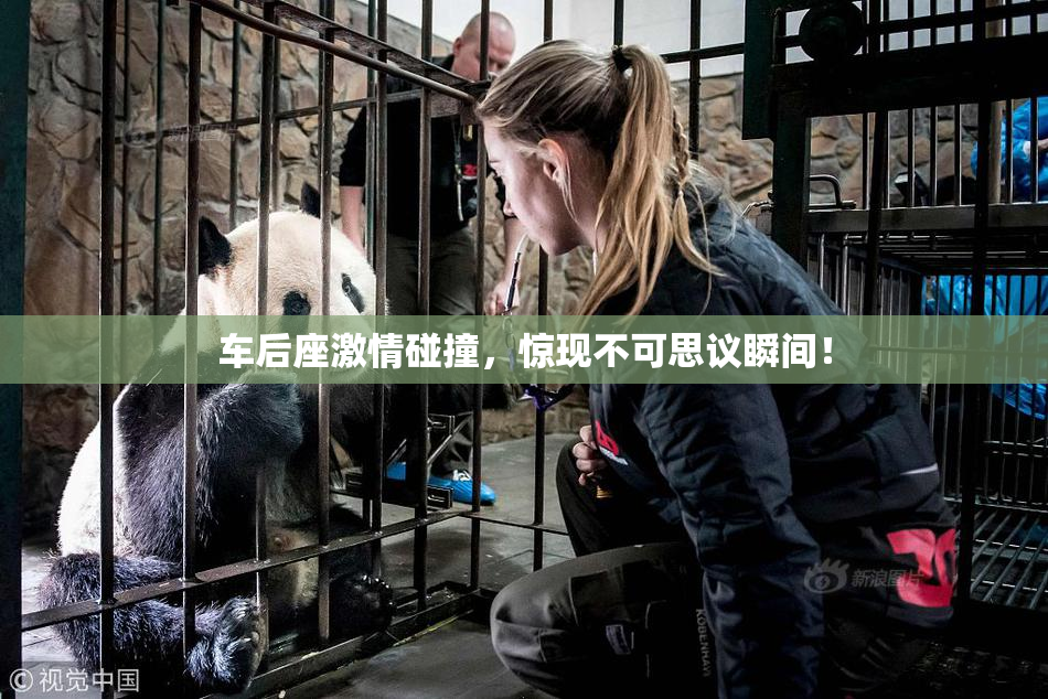 车后座激情碰撞，惊现不可思议瞬间！
