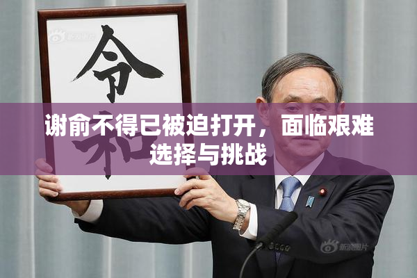 谢俞不得已被迫打开，面临艰难选择与挑战