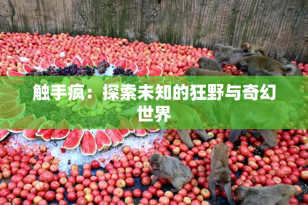 触手疯：探索未知的狂野与奇幻世界
