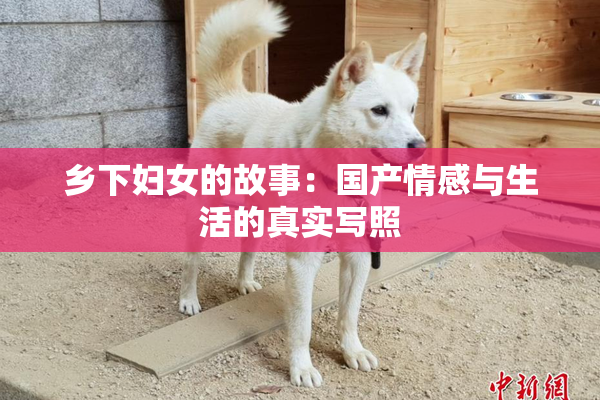乡下妇女的故事：国产情感与生活的真实写照