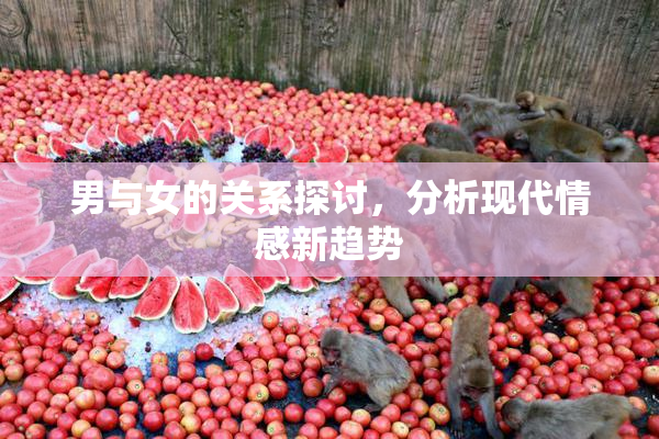 男与女的关系探讨，分析现代情感新趋势