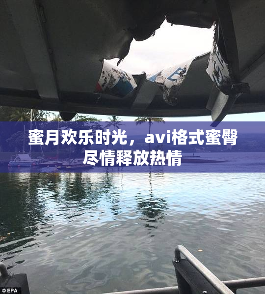 蜜月欢乐时光，avi格式蜜臀尽情释放热情