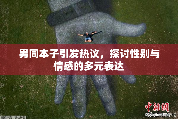 男同本子引发热议，探讨性别与情感的多元表达