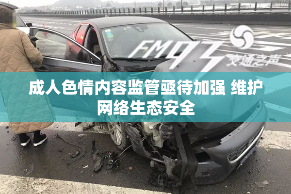 成人色情内容监管亟待加强 维护网络生态安全