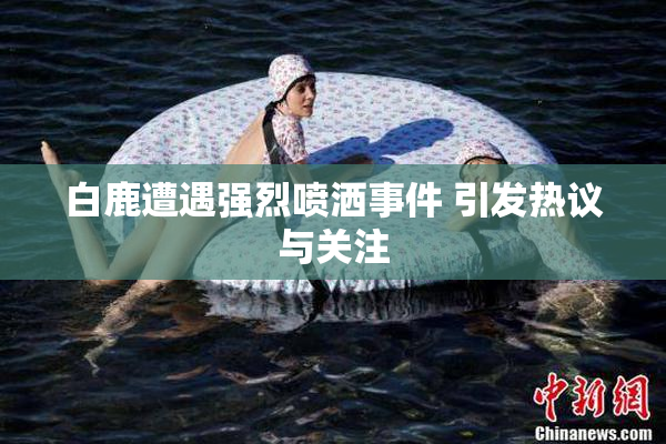 白鹿遭遇强烈喷洒事件 引发热议与关注