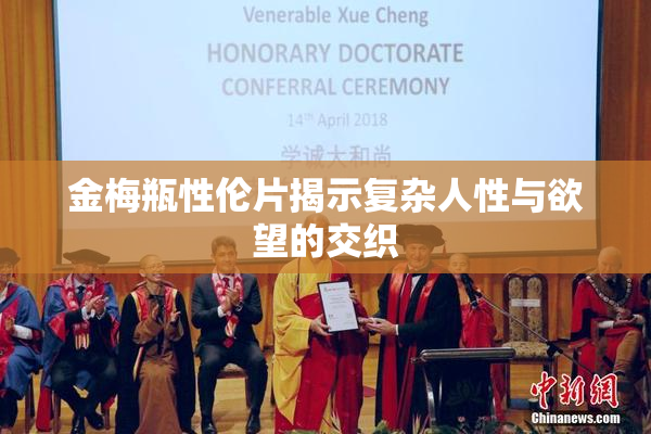 金梅瓶性伦片揭示复杂人性与欲望的交织