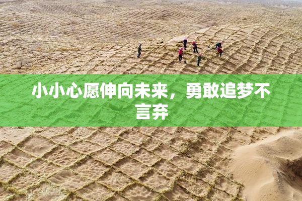 小小心愿伸向未来，勇敢追梦不言弃