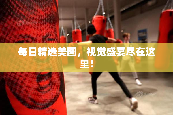 每日精选美图，视觉盛宴尽在这里！