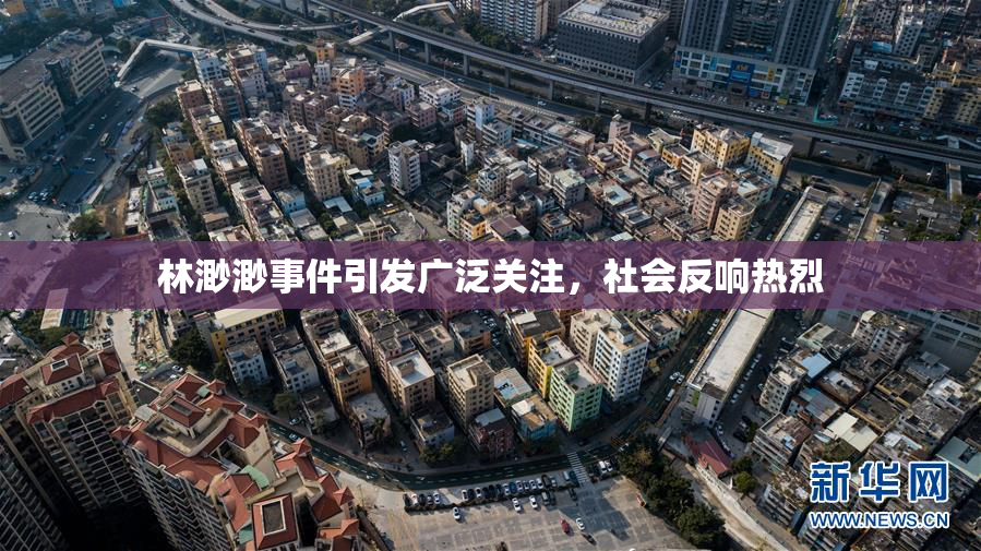 林渺渺事件引发广泛关注，社会反响热烈
