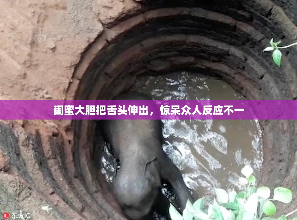 闺蜜大胆把舌头伸出，惊呆众人反应不一
