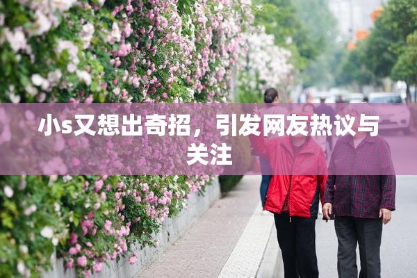 小s又想出奇招，引发网友热议与关注
