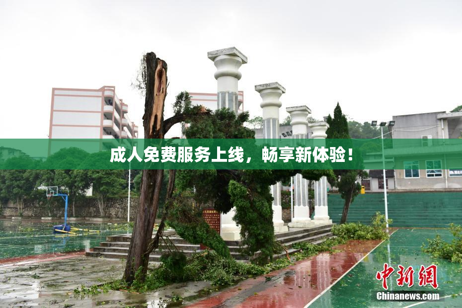 成人免费服务上线，畅享新体验！
