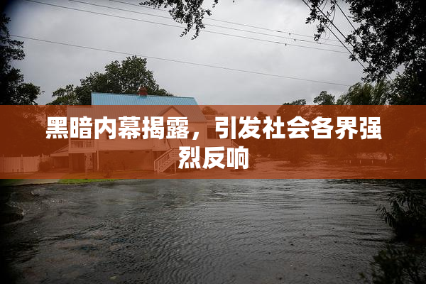黑暗内幕揭露，引发社会各界强烈反响