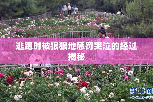 逃跑时被狠狠地惩罚哭泣的经过揭秘
